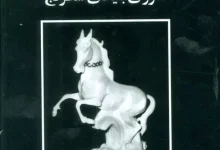 کتاب مایزلیس