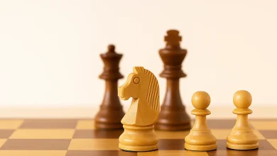 چگونه مهرهها را در شطرنج به درستی حرکت دهیم؟