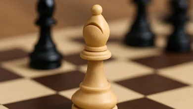 فیل در شطرنج