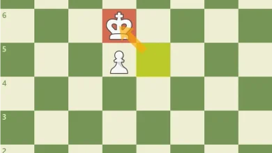 زوگزوانگ در شطرنج